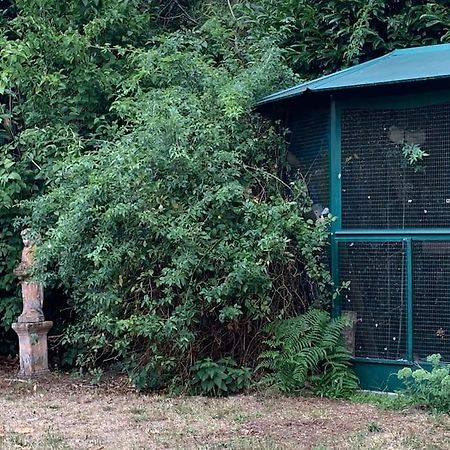 Maisonnette En Clairiere De Foret Gambais Exteriör bild