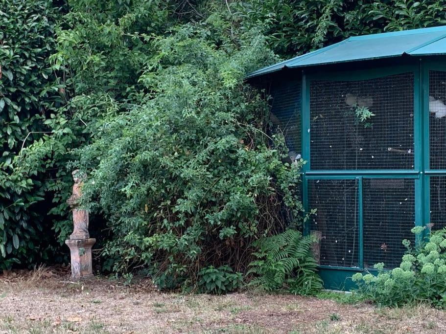 Maisonnette En Clairiere De Foret Gambais Exteriör bild