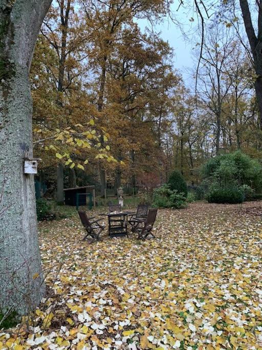 Maisonnette En Clairiere De Foret Gambais Exteriör bild
