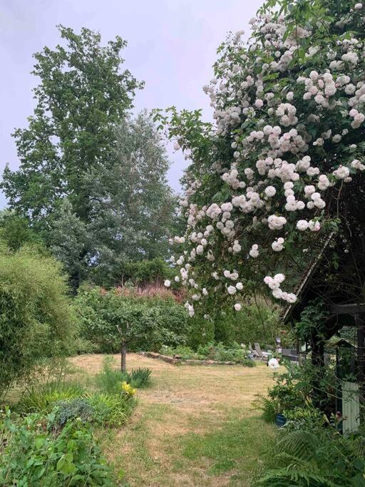 Maisonnette En Clairiere De Foret Gambais Exteriör bild