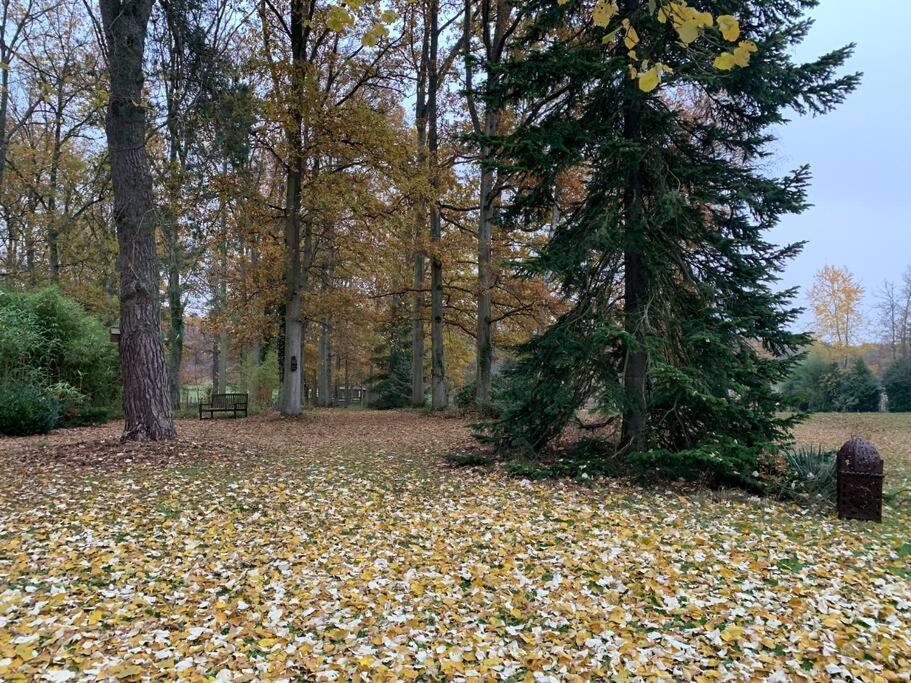 Maisonnette En Clairiere De Foret Gambais Exteriör bild