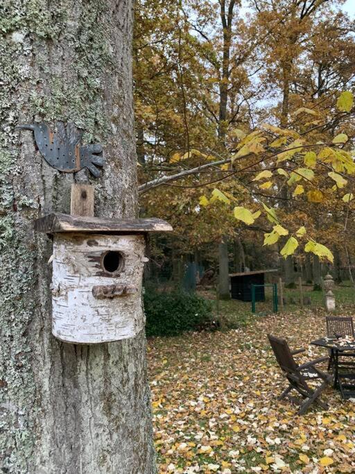 Maisonnette En Clairiere De Foret Gambais Exteriör bild