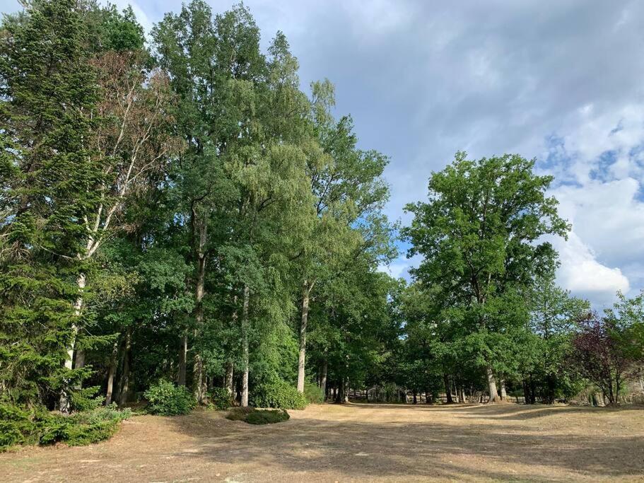 Maisonnette En Clairiere De Foret Gambais Exteriör bild